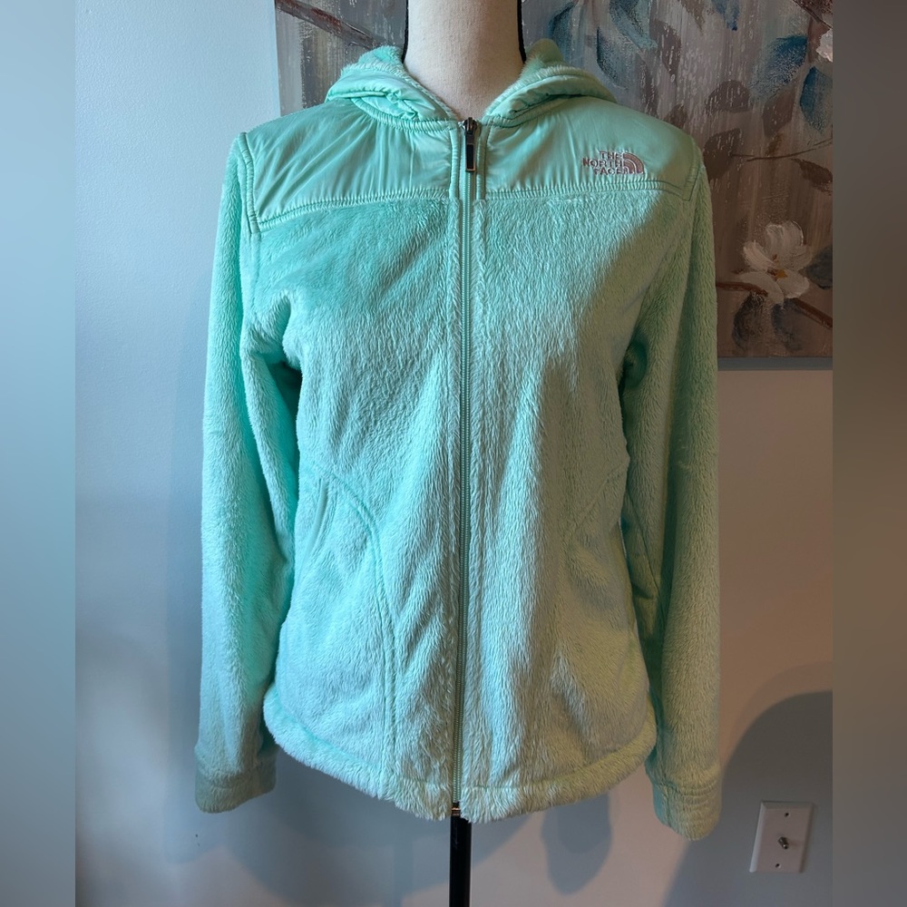 The North Face Mint Oso Hooded Fleece